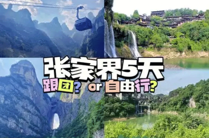 春節(jié)去張家界報(bào)團(tuán)旅游哪個(gè)旅行社好？跟團(tuán)游和自由行哪個(gè)好！