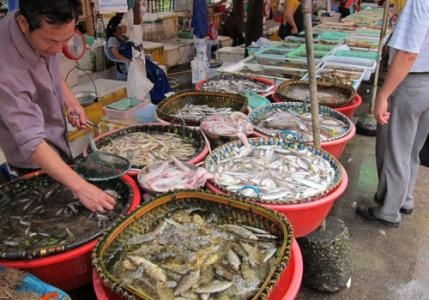 水產品放心吃！多地市場核酸檢測陰性，安全有保障